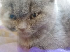 -凯德广场(武胜路店)