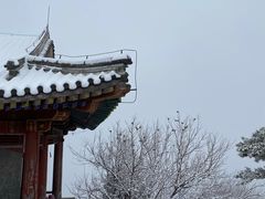 -香山公园