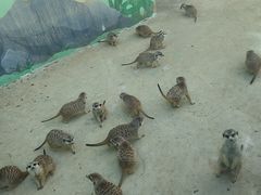 -秦皇岛野生动物园