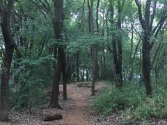 -马王堆汉墓遗址