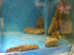 -金鹰超市(国际购物中心新街口店)