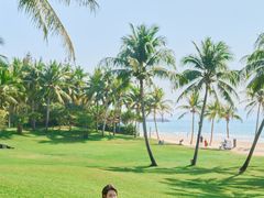 -海南清水湾莱佛士酒店