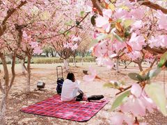 -白塘生态植物园