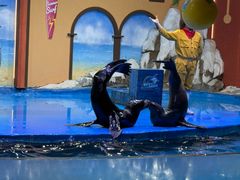 -重庆欢乐海底世界