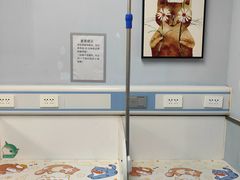 -纳吉亚猫专科动物诊疗中心(蒋宅口分院)