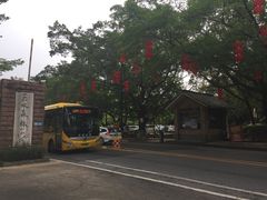 -三水森林公园