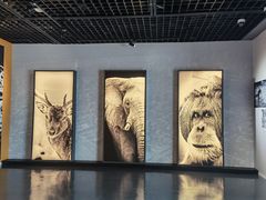 -中国湿地博物馆