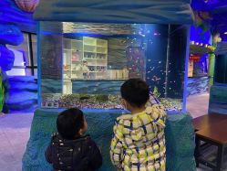 -酷嗒动物文化乐园(cutezoo西溪乐天城店)