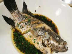 珍珠斑鱼-盒马鲜生(杭州运河上街店)
