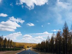 -塞罕坝国家级自然保护区