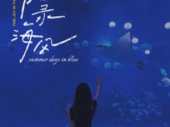 -烟台海昌鲸鲨海洋公园