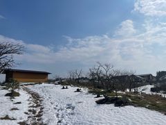 -鳥取砂丘会館