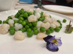 -东荟轩
