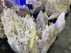 -游龙石文化科普馆