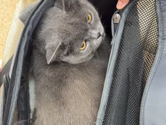 -宠颐生中康贝怡动物医院