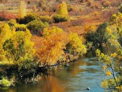 -麦当劳(北京昌金路得来速餐厅店)