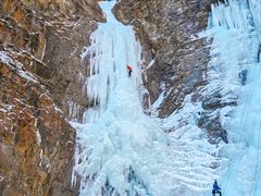 -成都泰迪熊博物馆