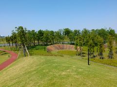 -春花秋色城市公园