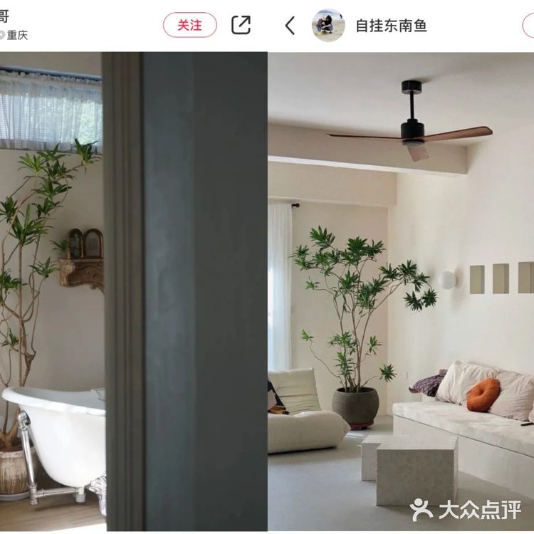 从不用拼夕夕的我，为了这6款植物冲了！