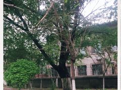 -东北大学(南湖校区)