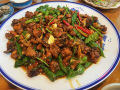 -食鸡公社辣子鸡·潍坊菜·烧烤