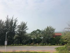 -北海金海湾红树林生态旅游区