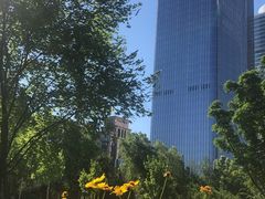 -中央广播电视总台(光华路办公区)