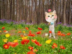 -上海共青森林公园