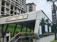 -铁山坪森林公园