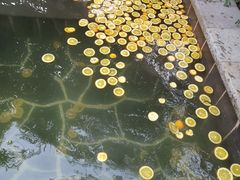 -郑州银基黄帝宫御温泉