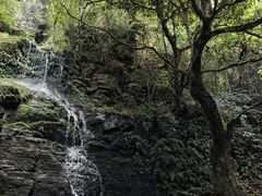 -云南屏边大围山国家公园