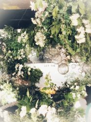 -成都世外桃源酒店-宴会厅·草坪婚礼·会议活动