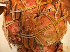 -喜洋洋蟹庄(阳澄湖店)