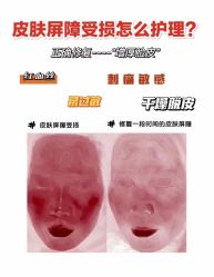 -LUNA皮相美·骨相美高级美感