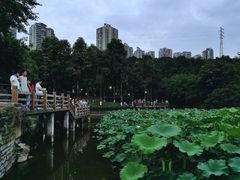 -龙头寺公园