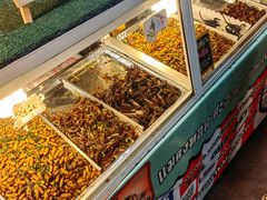 -席娜卡琳火车铁道夜市