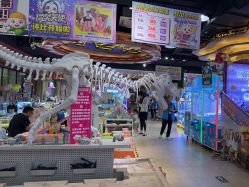 -卡通尼·Safari非洲探索乐园·生日会(金桥国际商业广场店)