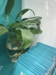 -芙贝佳禾·痘肌管理中心