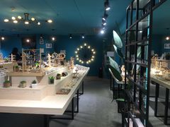 -Trend1881视光·蔡司视觉(领展广场店)