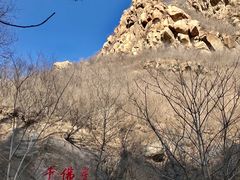 -灵溪风景区
