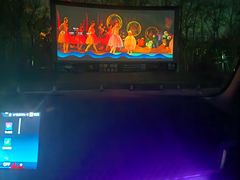 -枫花园汽车电影院(朝阳公园店)