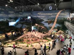 -自贡恐龙博物馆