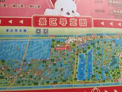 -大湾区中央湿地公园