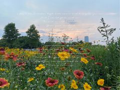 -上海山野camping·户外天幕烧烤·团建拓展营地