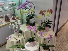 -EPOQUE·一刻花店(兴业太古汇店)