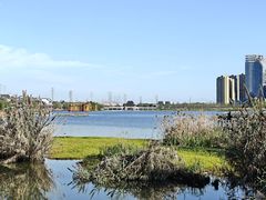 -大小河街