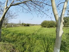 -良渚古城遗址公园
