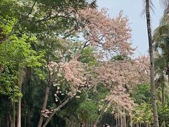 -中国科学院西双版纳热带植物园