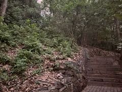 -紫金山山顶公园