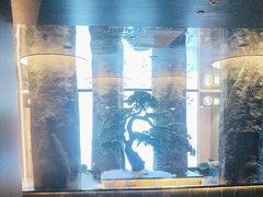 -御养源·影院式足道·按摩SPA·星级自助餐(青秀店)